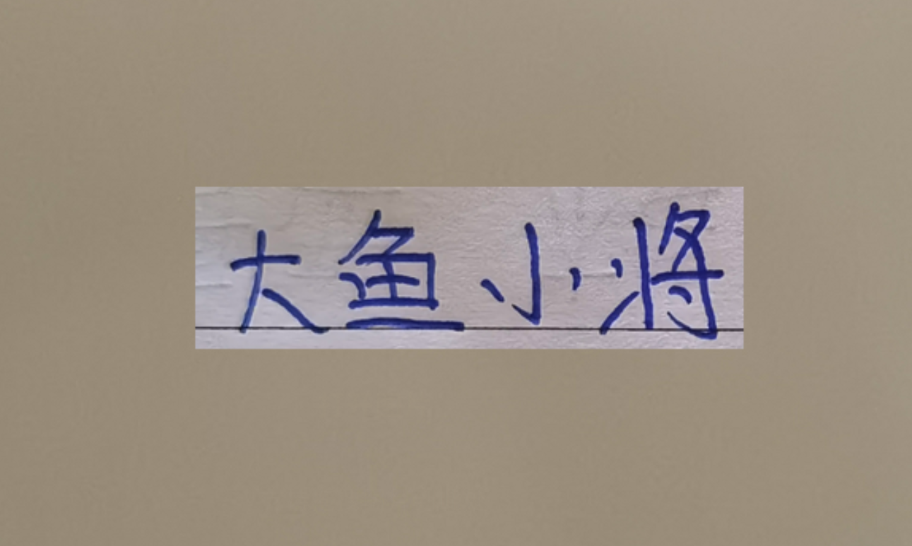 世界杯手机观看-超级杯海港新大鱼 带球和突破不亚于巴尔加斯！